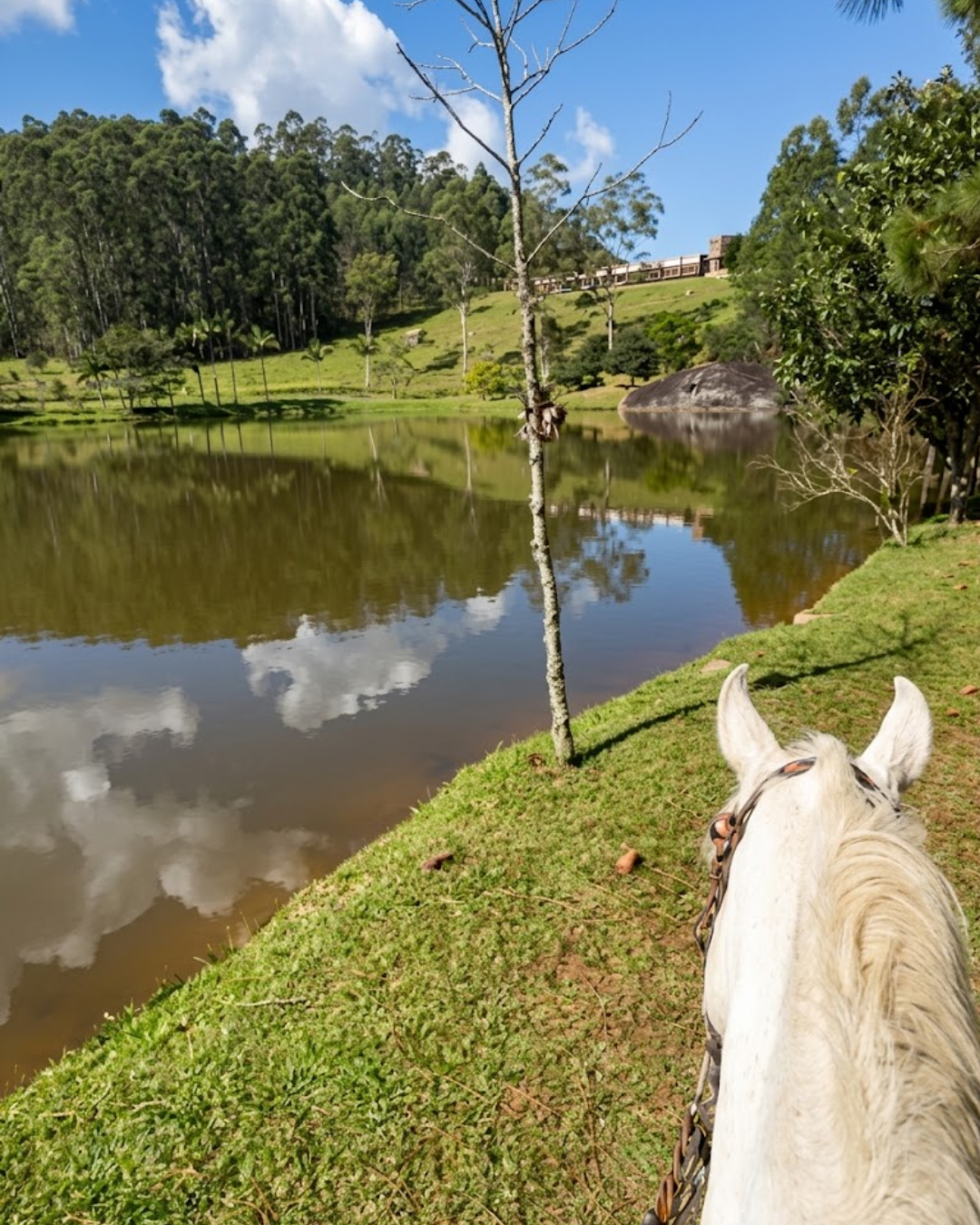 Novo Projeto (20)