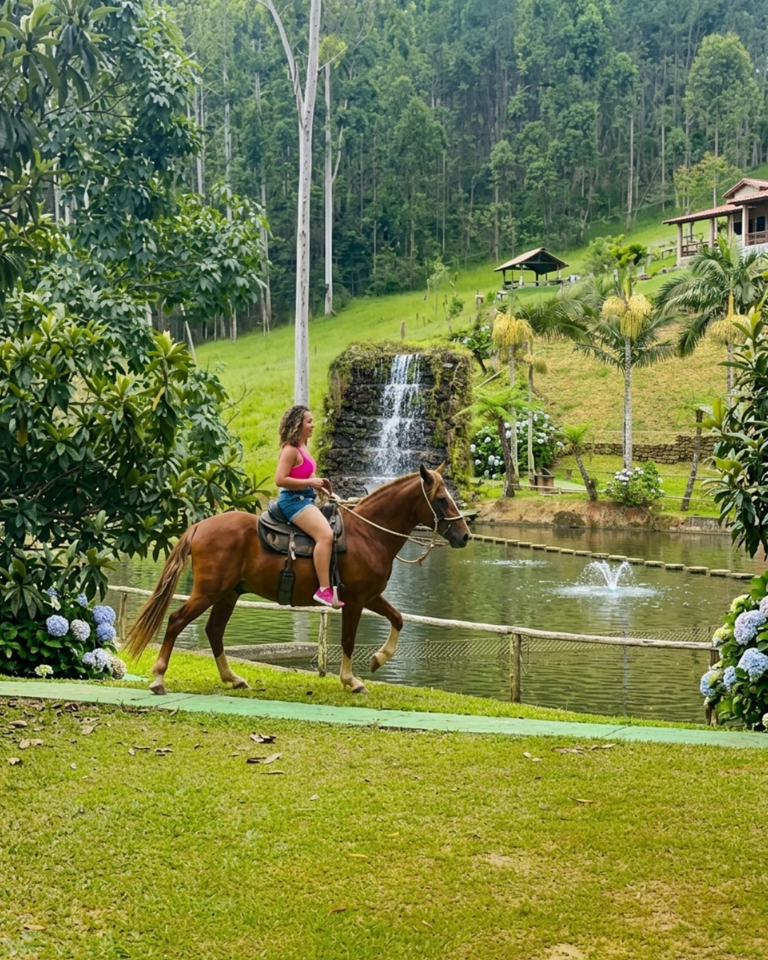 Novo Projeto (22)